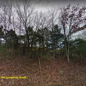 For Sale Lot in Taney County! Dirt Road Access