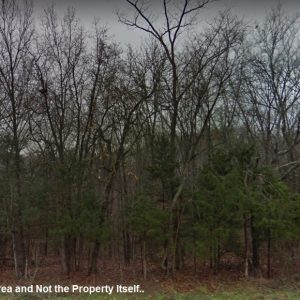 Wooded Lot with Road Access in Taney County, MO!