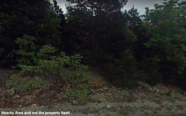 Trees, Drive-up in this Piece of lot in Arkansas
