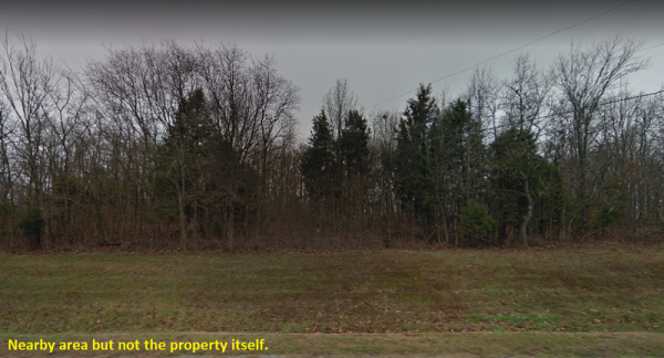 SOLD-Wooded Lot in Taney County, MO!