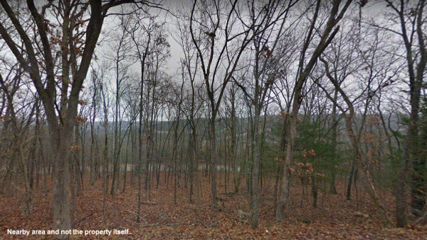 Wooded Lot On Skylee Dr, 0.247-Acre Lot in Taney County, MO!