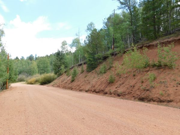 GORGEOUS PROPERTY IN CRIPPLE CREEK