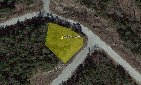 On Syler Lane, Wooded Lot in Taney County, MO!